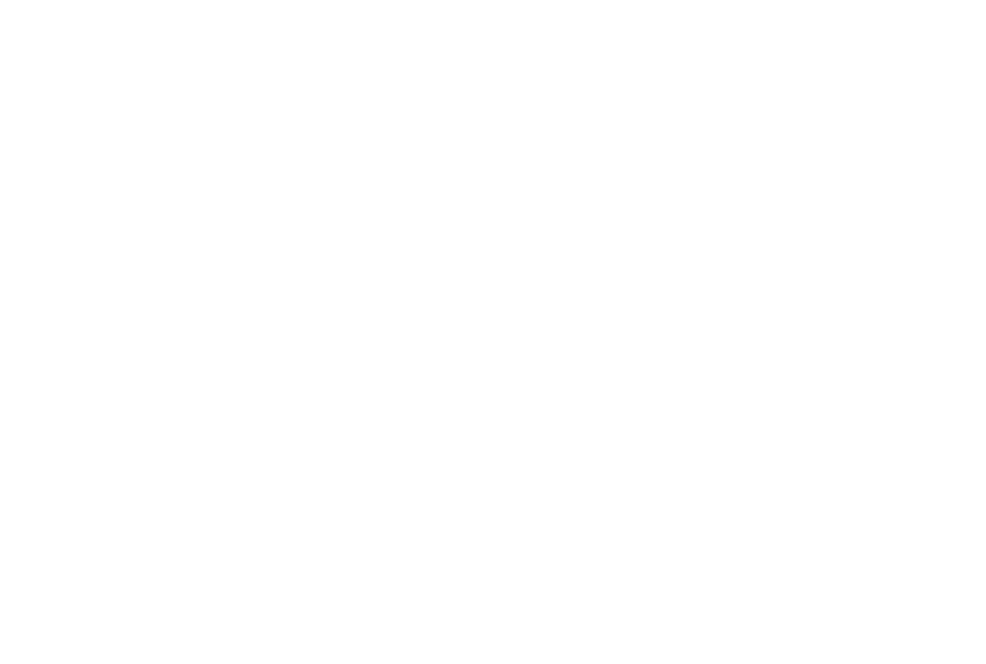 Pawvana Luxury Dog Hotel — Puerto Vallarta